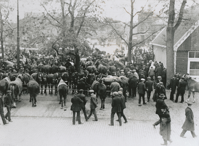 874847 Afbeelding van een deel van de paardenmarkt op het Vredenburg te Utrecht, vanuit het huis van N.J. François, ...